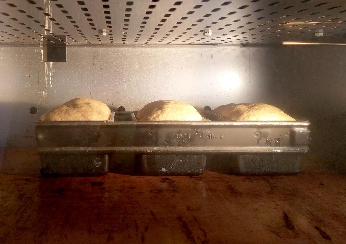 vacuum cooling bakery bread